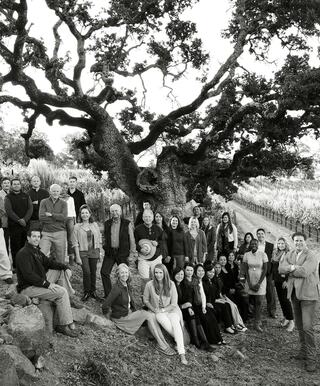 Darioush team portrait